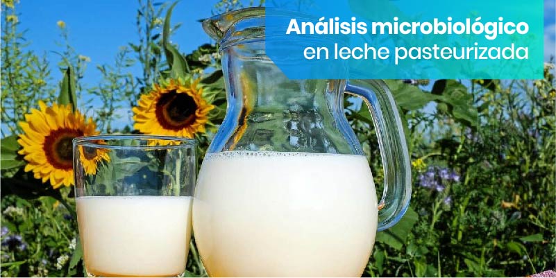 microorganismos en la leche